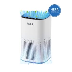 Air purifier for large spaces